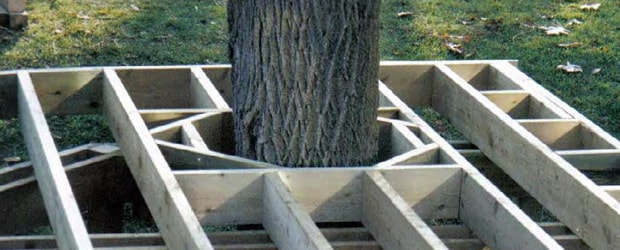 Deck sub-structure framed around a tree.